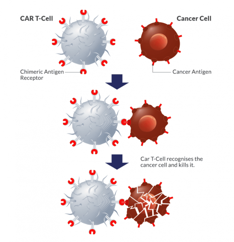 مزایای CAR-T Cell Therapy چیست؟